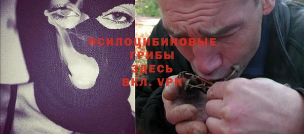 индика Осташков