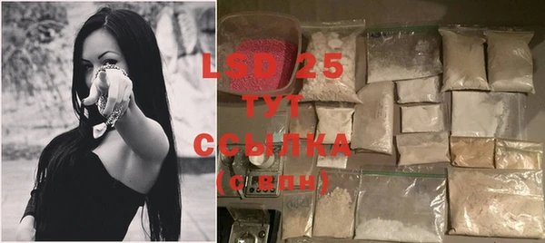 индика Осташков