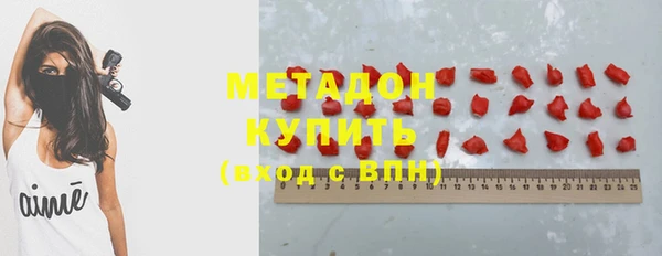 индика Осташков