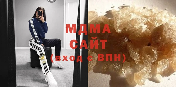 индика Осташков