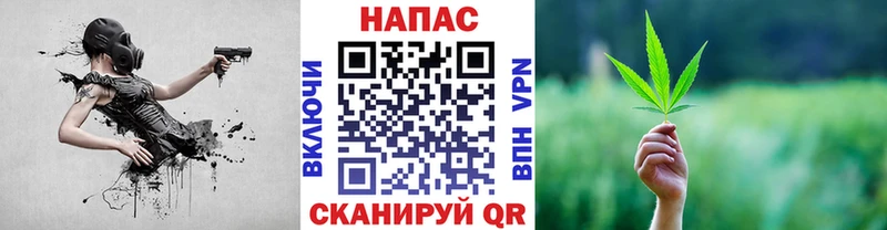 купить наркотик  Тайга  Шишки марихуана план 